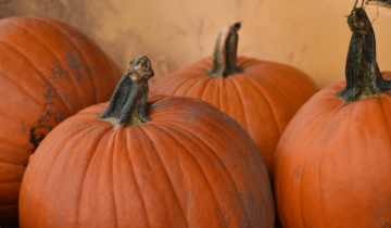 Samaín 2025: qué hacer en Vigo. Foto de Ollie Mitchell.