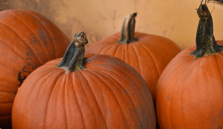 Samaín 2025: qué hacer en Vigo. Foto de Ollie Mitchell.